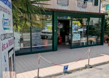 Edificio all\'aperto - Commercial Activity Recanati - photo 36