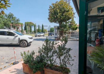 Terrazza - Commercial Activity Recanati - photo 49