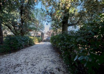 Giardino - Apartment Via Delle Ville
 
5, Falconara Marittima - photo 49