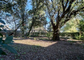 Giardino - Apartment Via Delle Ville
 
5, Falconara Marittima - photo 50