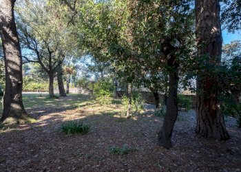 Giardino - Apartment Via Delle Ville
 
5, Falconara Marittima - photo 51