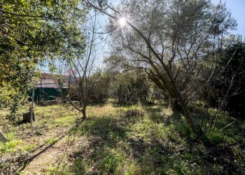 Giardino - Apartment Via Delle Ville
 
5, Falconara Marittima - photo 55