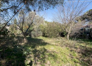 Giardino - Apartment Via Delle Ville
 
5, Falconara Marittima - photo 56