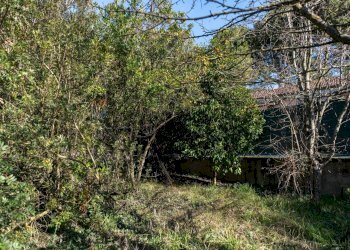 Giardino - Apartment Via Delle Ville
 
5, Falconara Marittima - photo 57