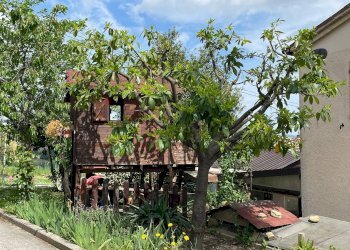 Giardino - Casa semi indipendente Frazione Castiglioni Via Moscatelli
 
80/b, Arcevia - foto 42