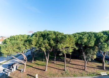 Giardino - Appartamento Via Raffaello Sanzio
 
52, Jesi - foto 25