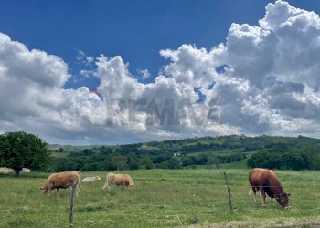 Vista delle montagne - Casa semi indipendente Frazione Castiglioni Via Moscatelli
 
80, Arcevia - foto 42