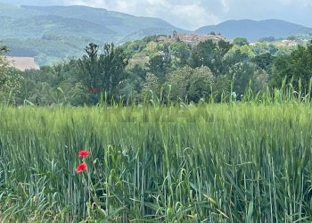 Vista delle montagne - Casa semi indipendente Frazione Castiglioni Via Moscatelli
 
80, Arcevia - foto 43