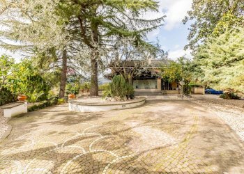 Giardino - Villa Via Del Monte Di Casa
65, Roma - foto 49