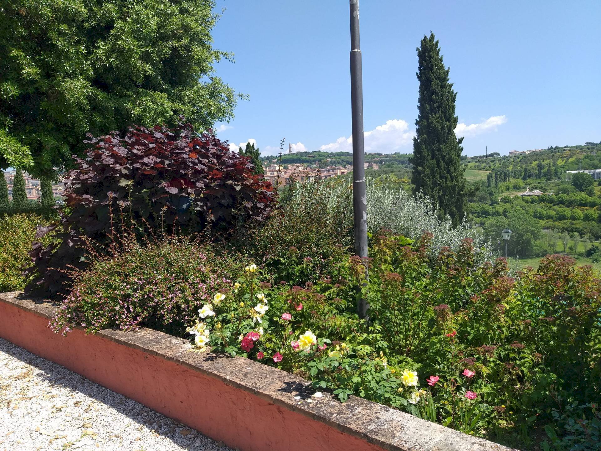 Giardino - Trilocale Perugia - foto 3