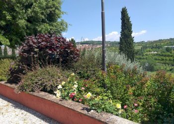 Giardino - Trilocale Perugia - foto 3