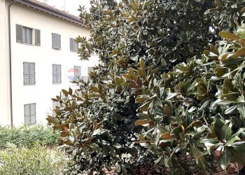 Edificio all\'aperto - Trilocale Via Cavour
 
55, Trezzo sull'Adda - foto 22