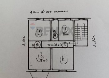 Pianta 2D - Appartamento Via Pulsano
 
45, Manfredonia - foto 6