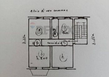Pianta 2D - Appartamento Via Pulsano
 
45, Manfredonia - foto 17