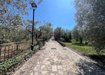 Giardino - Villa San Potito Sannitico - foto 4