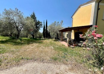 Giardino - Villa San Potito Sannitico - foto 9