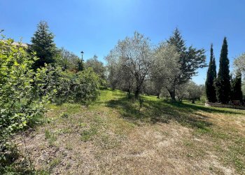 Giardino - Villa San Potito Sannitico - foto 11