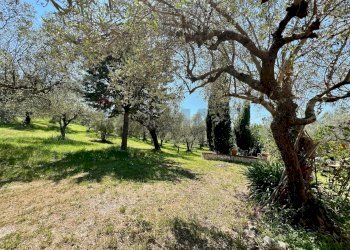 Giardino - Villa San Potito Sannitico - foto 12