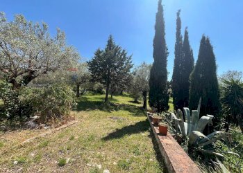 Giardino - Villa San Potito Sannitico - foto 14