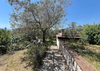 Giardino - Villa San Potito Sannitico - foto 17