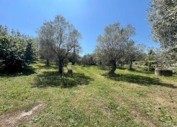 Giardino - Villa San Potito Sannitico - foto 21