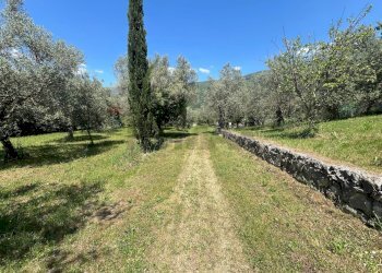 Giardino - Villa San Potito Sannitico - foto 22