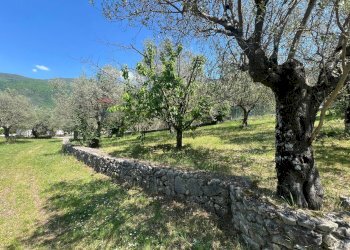 Giardino - Villa San Potito Sannitico - foto 23