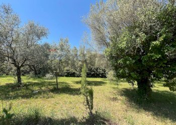 Giardino - Villa San Potito Sannitico - foto 24