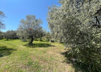 Giardino - Villa San Potito Sannitico - foto 25