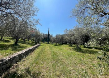 Giardino - Villa San Potito Sannitico - foto 26