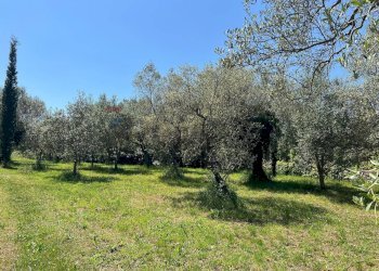 Giardino - Villa San Potito Sannitico - foto 27