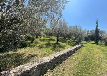 Giardino - Villa San Potito Sannitico - foto 28