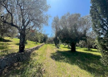 Giardino - Villa San Potito Sannitico - foto 29