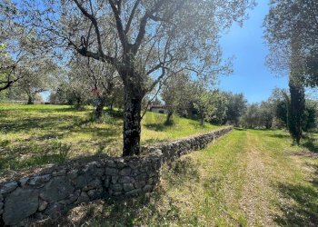 Giardino - Villa San Potito Sannitico - foto 30