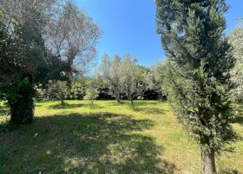 Giardino - Villa San Potito Sannitico - foto 31
