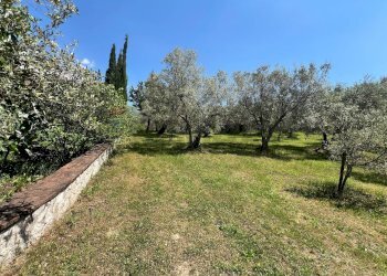 Giardino - Villa San Potito Sannitico - foto 32