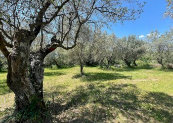 Giardino - Villa San Potito Sannitico - foto 34