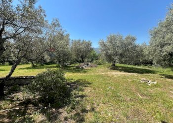 Giardino - Villa San Potito Sannitico - foto 36