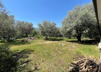 Giardino - Villa San Potito Sannitico - foto 37