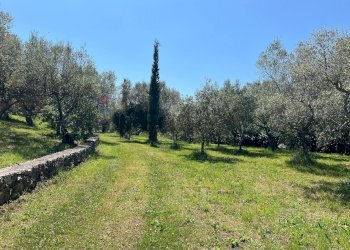 Giardino - Villa San Potito Sannitico - foto 39