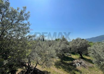 Vista delle montagne - Villa San Potito Sannitico - foto 54