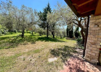 Giardino - Villa San Potito Sannitico - foto 96