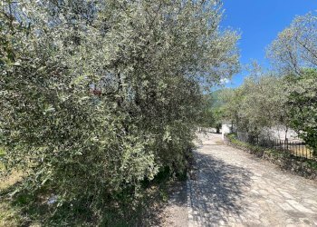 Giardino - Villa San Potito Sannitico - foto 145