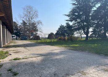 Giardino - Rustico Romano d'Ezzelino - foto 14