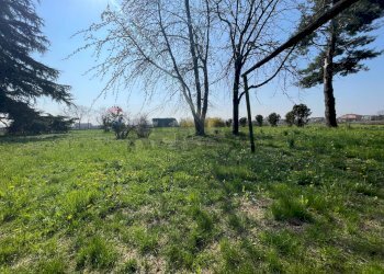 Giardino - Rustico Romano d'Ezzelino - foto 15