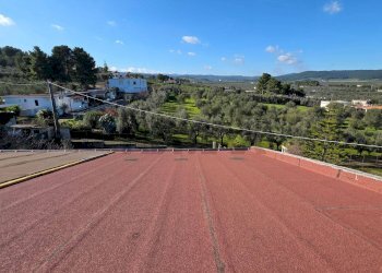 Terrazza - Appartamento Località Montincello
 
snc, Vieste - foto 7