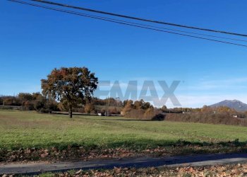 Giardino - Terreno edificabile Località Sabioni
 
snc, Oricola - foto 1