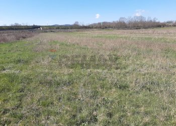 Giardino - Terreno edificabile Località Sabioni
 
snc, Oricola - foto 4