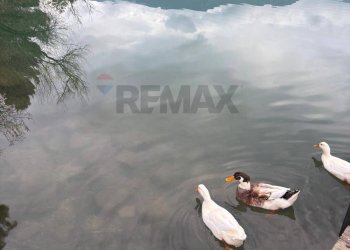 Vista dell\'acqua - Appartamento Via Scafa
 
20, Telese Terme - foto 24