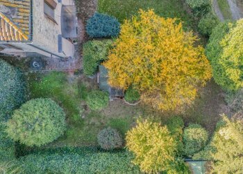 Giardino - Casa semi indipendente Strada Bassa Nuova
 
145, Parma - foto 57